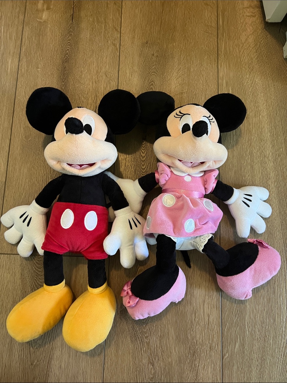 Mini and Mickey Pair